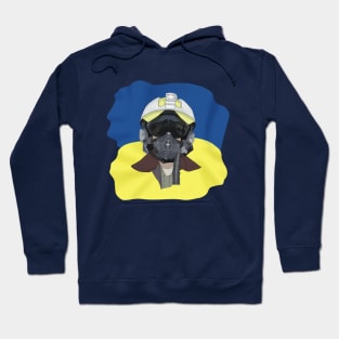 Ukrainian Pilot. Ukrainian flag Hoodie